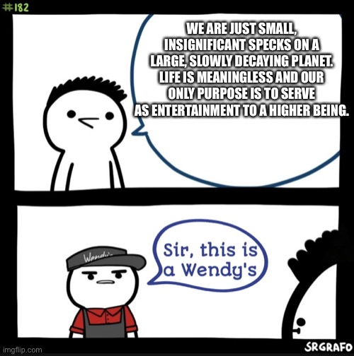 sir this is a Wendy’s. | WE ARE JUST SMALL, INSIGNIFICANT SPECKS ON A LARGE, SLOWLY DECAYING PLANET. LIFE IS MEANINGLESS AND OUR ONLY PURPOSE IS TO SERVE AS ENTERTAINMENT TO A HIGHER BEING. | image tagged in sir this is a wendys | made w/ Imgflip meme maker