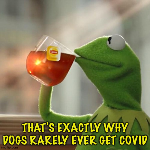 But That's None Of My Business Meme | THAT'S EXACTLY WHY DOGS RARELY EVER GET COVID | image tagged in memes,but that's none of my business,kermit the frog | made w/ Imgflip meme maker