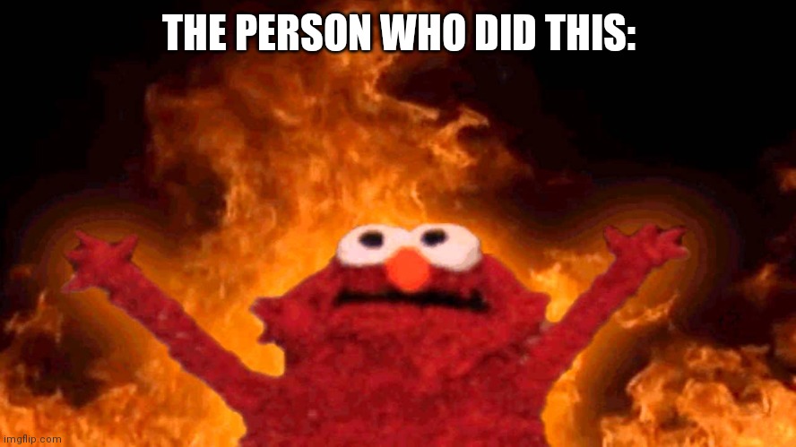 elmo fire | THE PERSON WHO DID THIS: | image tagged in elmo fire | made w/ Imgflip meme maker