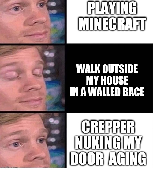 This happen to times | PLAYING MINECRAFT; WALK OUTSIDE MY HOUSE IN A WALLED BACE; CREPPER NUKING MY DOOR  AGING | image tagged in blinking guy vertical blank | made w/ Imgflip meme maker