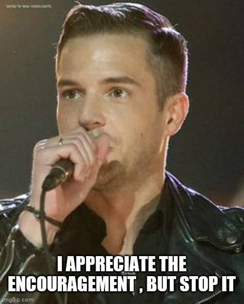 Brandon Flowers | I APPRECIATE THE ENCOURAGEMENT , BUT STOP IT | image tagged in brandon flowers | made w/ Imgflip meme maker