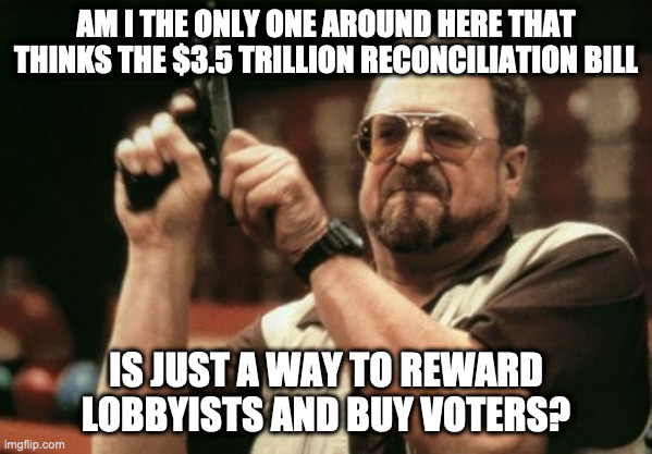 Am I The Only One Around Here | AM I THE ONLY ONE AROUND HERE THAT THINKS THE $3.5 TRILLION RECONCILIATION BILL; IS JUST A WAY TO REWARD LOBBYISTS AND BUY VOTERS? | image tagged in memes,am i the only one around here | made w/ Imgflip meme maker