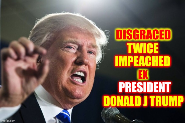 Disgraced And Irredeemable | DISGRACED; TWICE IMPEACHED; EX; PRESIDENT; DONALD J TRUMP | image tagged in donald trump,memes,lock him up,what a buffoon,trump is a criminal,trump for prison | made w/ Imgflip meme maker