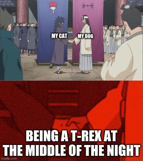 So true |  MY DOG; MY CAT; BEING A T-REX AT THE MIDDLE OF THE NIGHT | image tagged in handshake between madara and hashirama | made w/ Imgflip meme maker