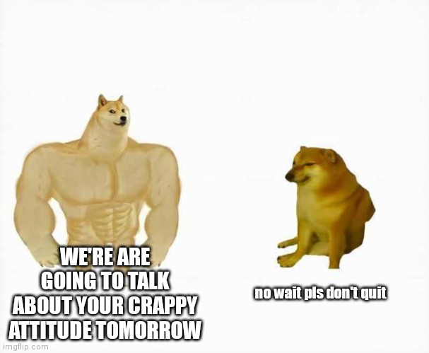 Strong dog vs weak dog | WE'RE ARE GOING TO TALK ABOUT YOUR CRAPPY ATTITUDE TOMORROW; no wait pls don't quit | image tagged in strong dog vs weak dog | made w/ Imgflip meme maker