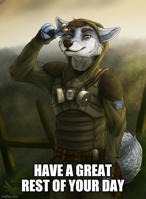 Furry Salute | HAVE A GREAT REST OF YOUR DAY | image tagged in furry salute | made w/ Imgflip meme maker