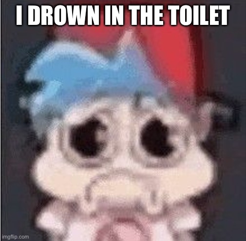 Sex 2 delayed | I DROWN IN THE TOILET | image tagged in sex 2 delayed | made w/ Imgflip meme maker