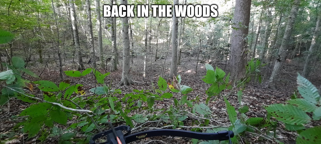 BACK IN THE WOODS | made w/ Imgflip meme maker