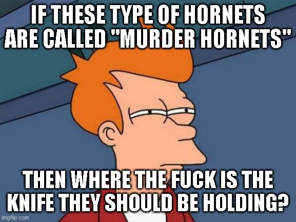 Futurama Fry Meme | IF THESE TYPE OF HORNETS ARE CALLED "MURDER HORNETS" THEN WHERE THE FUCK IS THE KNIFE THEY SHOULD BE HOLDING? | image tagged in memes,futurama fry | made w/ Imgflip meme maker