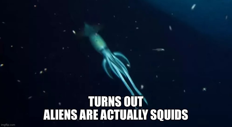 Aliens | TURNS OUT
ALIENS ARE ACTUALLY SQUIDS | image tagged in aliens | made w/ Imgflip meme maker