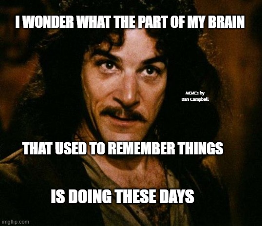 Inigo Montoya Meme | I WONDER WHAT THE PART OF MY BRAIN; MEMEs by Dan Campbell; THAT USED TO REMEMBER THINGS; IS DOING THESE DAYS | image tagged in memes,inigo montoya | made w/ Imgflip meme maker