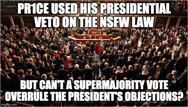I think it's time to hold a vote on overruling PR1CE's veto. Vote in favour if you wish to overrule this veto and against if not | PR1CE USED HIS PRESIDENTIAL VETO ON THE NSFW LAW; BUT CAN'T A SUPERMAJORITY VOTE OVERRULE THE PRESIDENT'S OBJECTIONS? | image tagged in congress,memes,politics | made w/ Imgflip meme maker