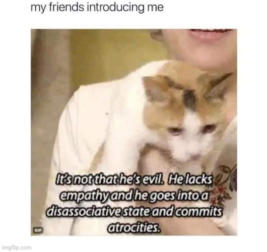 image tagged in cats,antisocial | made w/ Imgflip meme maker