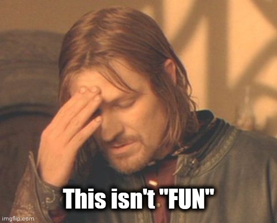 Frustrated Boromir Meme | This isn't "FUN" | image tagged in memes,frustrated boromir | made w/ Imgflip meme maker