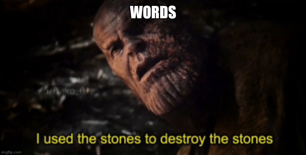 I used the stones to destroy the stones | WORDS | image tagged in i used the stones to destroy the stones | made w/ Imgflip meme maker