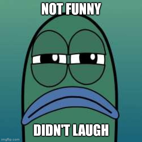 not funny | NOT FUNNY DIDN'T LAUGH | image tagged in not funny | made w/ Imgflip meme maker