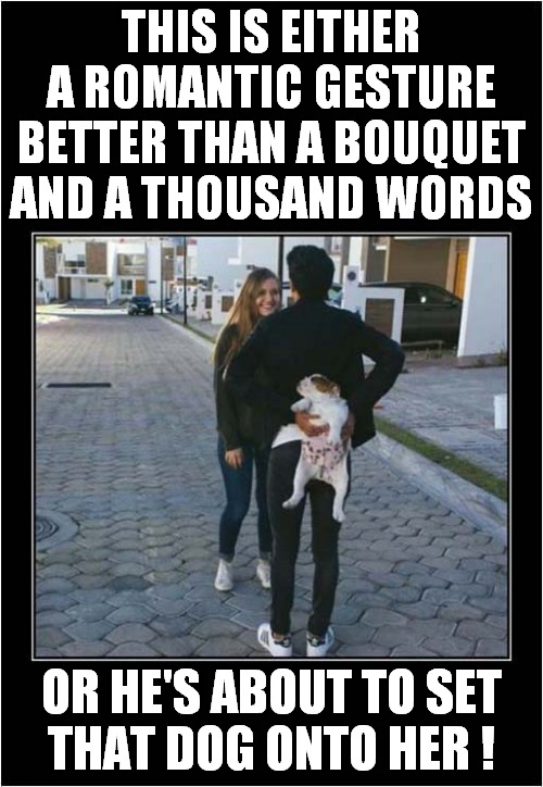 Either Way, A Wonderful Surprise ! | THIS IS EITHER A ROMANTIC GESTURE BETTER THAN A BOUQUET AND A THOUSAND WORDS; OR HE'S ABOUT TO SET
THAT DOG ONTO HER ! | image tagged in surprise,romantic,dog,dark humour | made w/ Imgflip meme maker
