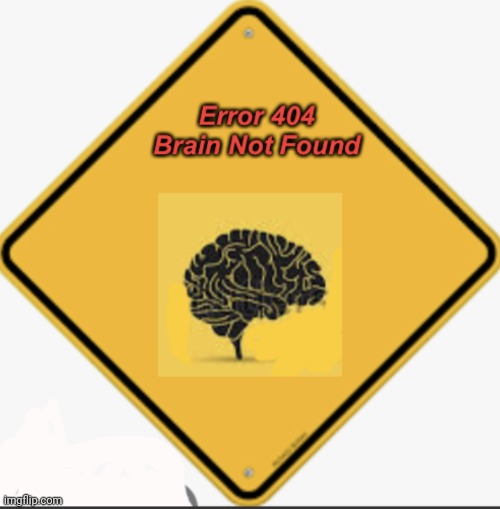 Error 404 Brain Not Found | image tagged in error 404 brain not found | made w/ Imgflip meme maker