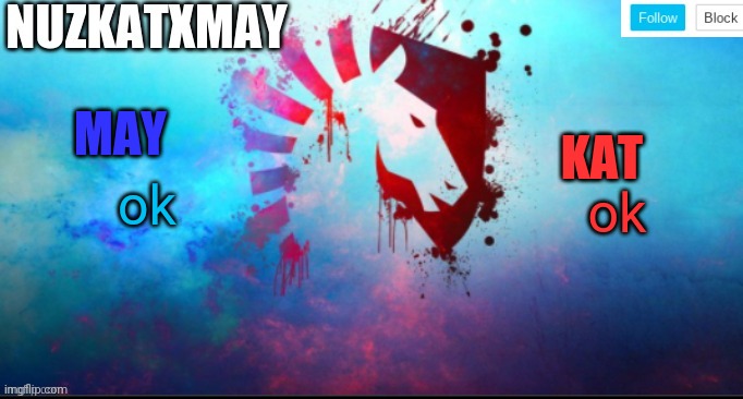 E | ok; ok | image tagged in e | made w/ Imgflip meme maker