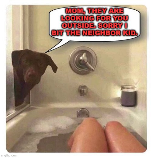 image tagged in dogs | made w/ Imgflip meme maker