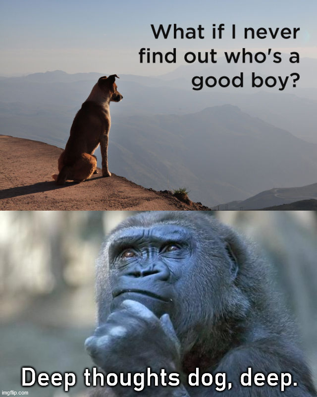 Deep thoughts dog, deep. | image tagged in that is the question,dogs | made w/ Imgflip meme maker