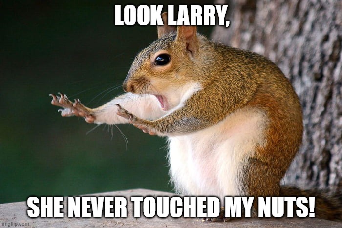 Busted! | LOOK LARRY, SHE NEVER TOUCHED MY NUTS! | image tagged in busted | made w/ Imgflip meme maker