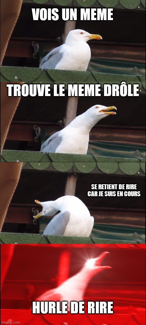 Inhaling Seagull Meme | VOIS UN MEME; TROUVE LE MEME DRÔLE; SE RETIENT DE RIRE CAR JE SUIS EN COURS; HURLE DE RIRE | image tagged in memes,inhaling seagull | made w/ Imgflip meme maker
