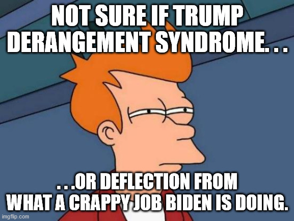 Probably both at this point. | NOT SURE IF TRUMP DERANGEMENT SYNDROME. . . . . .OR DEFLECTION FROM WHAT A CRAPPY JOB BIDEN IS DOING. | image tagged in memes,futurama fry,tds,political meme,political humor | made w/ Imgflip meme maker