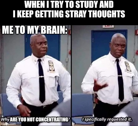 Studying is hard |  WHEN I TRY TO STUDY AND I KEEP GETTING STRAY THOUGHTS; ME TO MY BRAIN:; ARE YOU NOT CONCENTRATING | image tagged in why is no one having a good time i specifically requested it,school | made w/ Imgflip meme maker