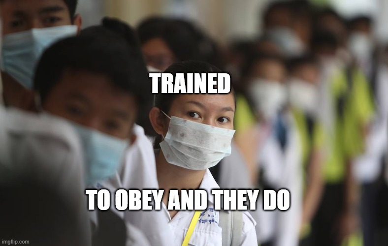 PRAY FOR CHINA | TRAINED; TO OBEY AND THEY DO | image tagged in pray for china | made w/ Imgflip meme maker