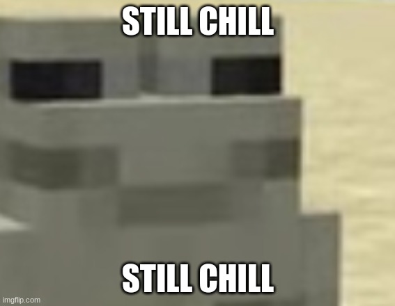 Still chill | STILL CHILL; STILL CHILL | image tagged in minecraft,frog,chill,flamingo | made w/ Imgflip meme maker