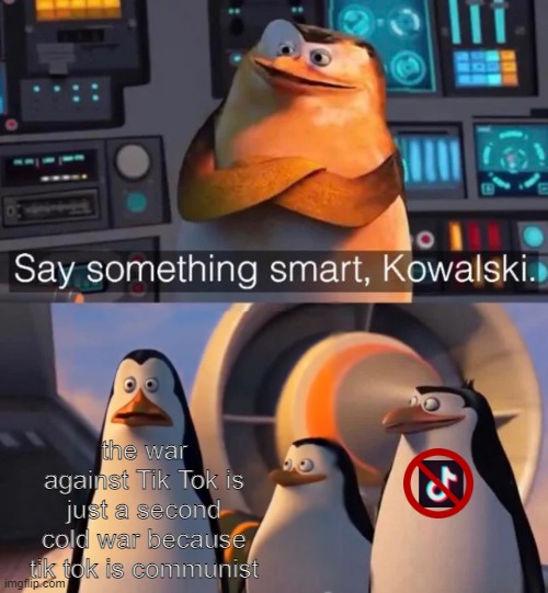 Say something smart Kowalski | the war against Tik Tok is just a second cold war because tik tok is communist | image tagged in say something smart kowalski | made w/ Imgflip meme maker