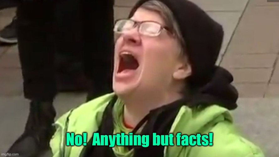 Screaming Liberal  | No!  Anything but facts! | image tagged in screaming liberal | made w/ Imgflip meme maker