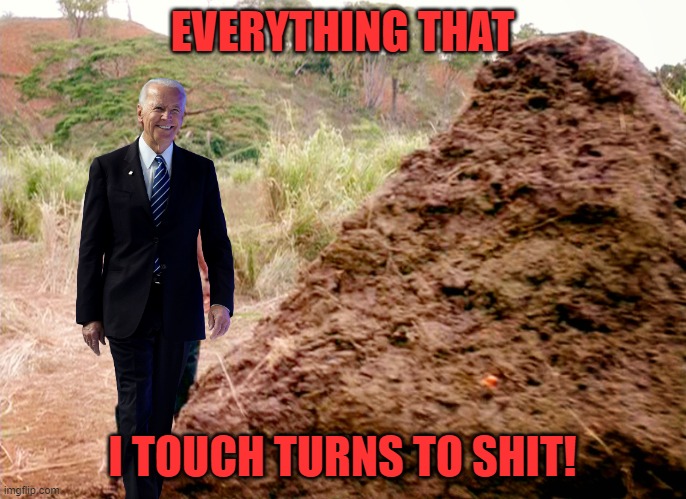 Thanks to timberwolf81470 for the idea! | EVERYTHING THAT; I TOUCH TURNS TO SHIT! | image tagged in biden,shit | made w/ Imgflip meme maker