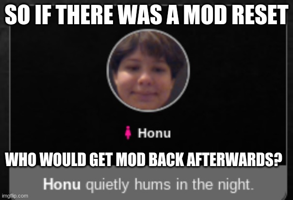 i quietly hum | SO IF THERE WAS A MOD RESET; WHO WOULD GET MOD BACK AFTERWARD? | image tagged in i quietly hum | made w/ Imgflip meme maker