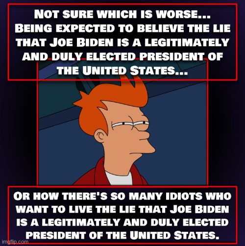 What a conundrum | image tagged in joe biden,voter fraud,election fraud,politics,political | made w/ Imgflip meme maker