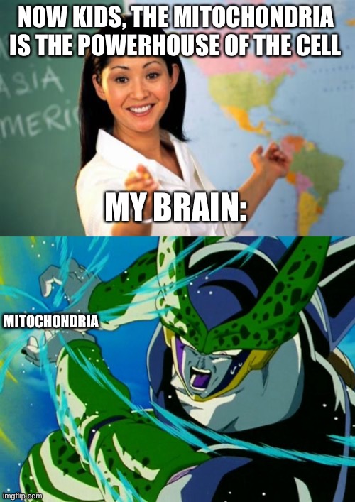 So does cell have a mitochondria? | NOW KIDS, THE MITOCHONDRIA IS THE POWERHOUSE OF THE CELL; MY BRAIN:; MITOCHONDRIA | image tagged in memes,unhelpful high school teacher | made w/ Imgflip meme maker