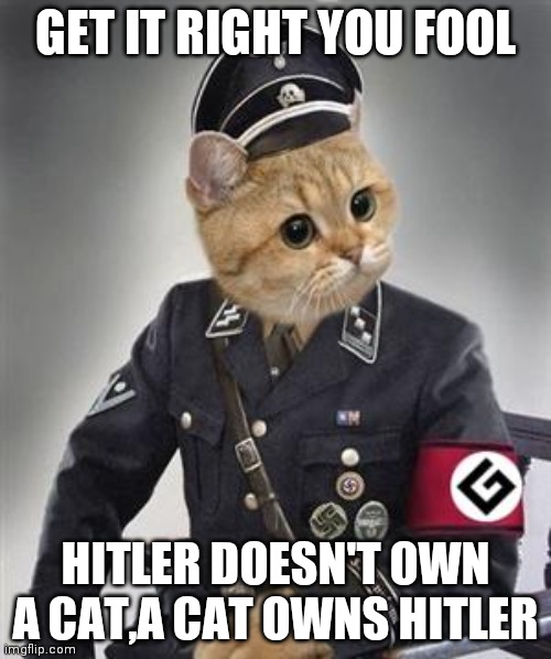 Grammar Nazi Cat | GET IT RIGHT YOU FOOL; HITLER DOESN'T OWN A CAT,A CAT OWNS HITLER | image tagged in grammar nazi cat | made w/ Imgflip meme maker