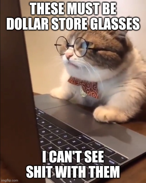 research cat |  THESE MUST BE DOLLAR STORE GLASSES; I CAN'T SEE SHIT WITH THEM | image tagged in research cat | made w/ Imgflip meme maker