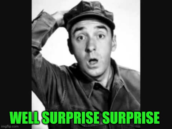 Gomer Pyle USMC | WELL SURPRISE SURPRISE | image tagged in gomer pyle usmc | made w/ Imgflip meme maker