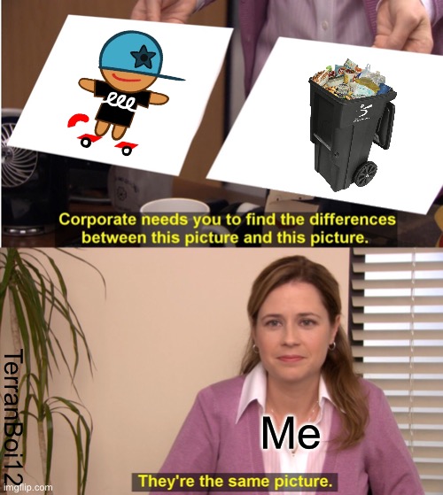 Skater Cookie is TRASH | TerranBoi12; Me | image tagged in memes,they're the same picture | made w/ Imgflip meme maker
