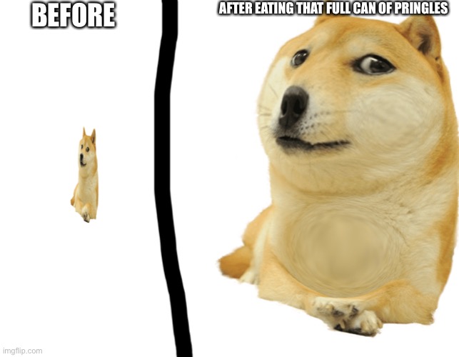 Eessersswssdeessd | AFTER EATING THAT FULL CAN OF PRINGLES; BEFORE | image tagged in small doge fat doge | made w/ Imgflip meme maker