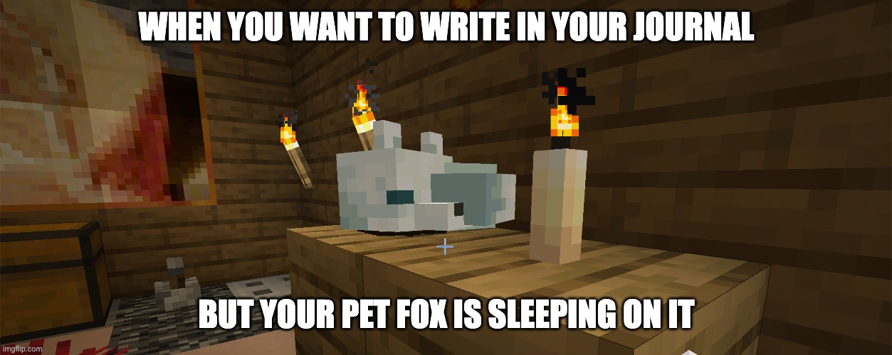 My new pet fox on minecraft: Froyo! | WHEN YOU WANT TO WRITE IN YOUR JOURNAL; BUT YOUR PET FOX IS SLEEPING ON IT | made w/ Imgflip meme maker