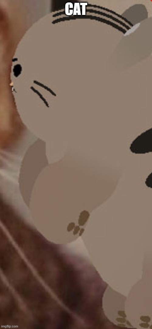 CAT | made w/ Imgflip meme maker