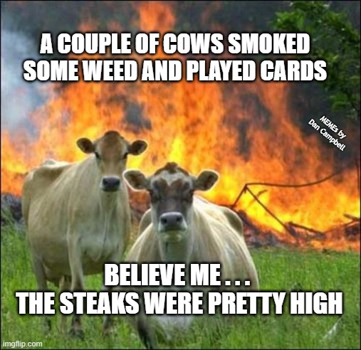 Evil Cows |  A COUPLE OF COWS SMOKED SOME WEED AND PLAYED CARDS; MEMEs by Dan Campbell; BELIEVE ME . . . 
THE STEAKS WERE PRETTY HIGH | image tagged in memes,evil cows | made w/ Imgflip meme maker