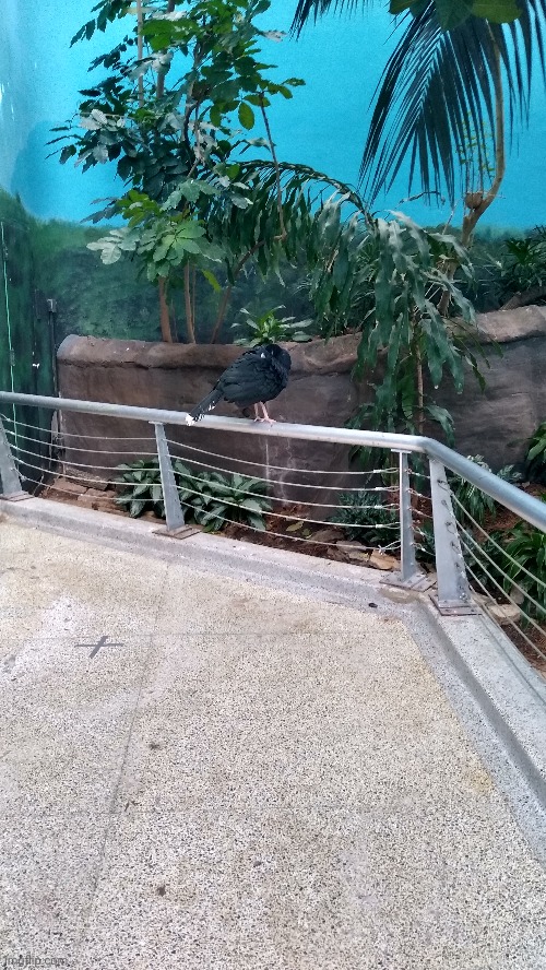 I touched some grass today | made w/ Imgflip meme maker