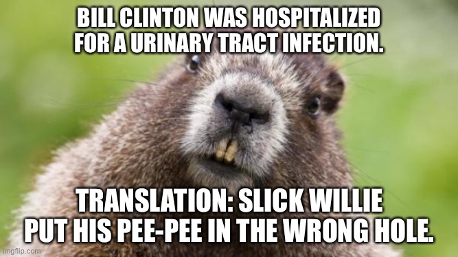 Is anybody surprised by this headline about Clinton? | BILL CLINTON WAS HOSPITALIZED FOR A URINARY TRACT INFECTION. TRANSLATION: SLICK WILLIE PUT HIS PEE-PEE IN THE WRONG HOLE. | image tagged in mr beaver,memes,bill clinton,dirty joke,bathroom humor,hospital | made w/ Imgflip meme maker