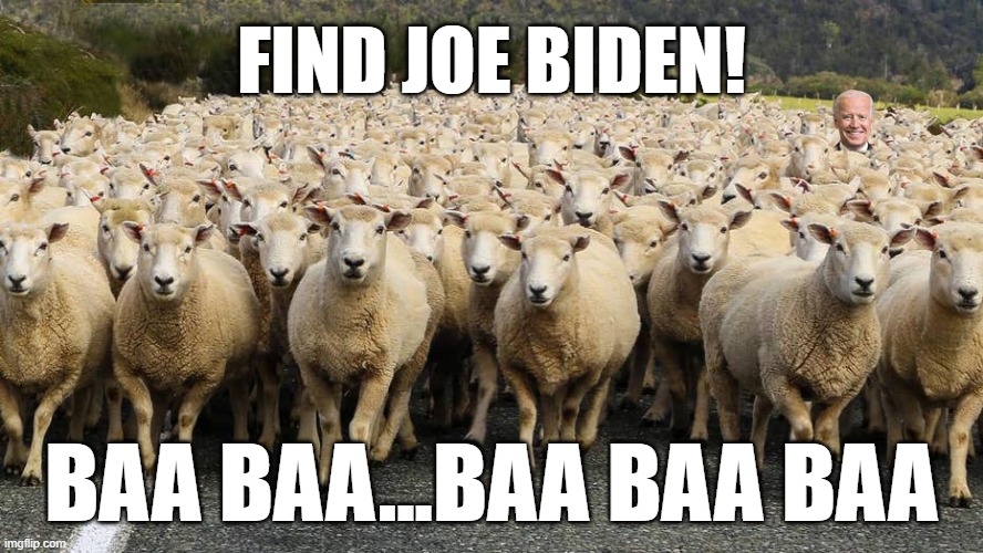 Joe and his flock | FIND JOE BIDEN! BAA BAA...BAA BAA BAA | image tagged in joe biden,sheep,memes | made w/ Imgflip meme maker