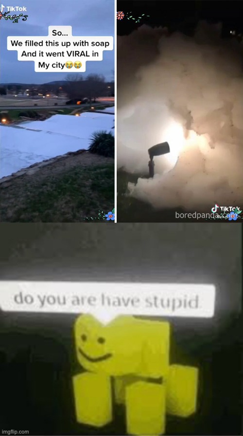 idiot fills a river with soap for tik tok fame | image tagged in do you are have stupid,thanos should've killed all of us,thomas had never seen such bullshit before | made w/ Imgflip meme maker