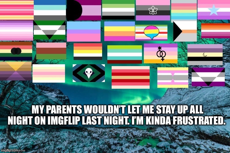 Not LGBTQ, but… | MY PARENTS WOULDN’T LET ME STAY UP ALL NIGHT ON IMGFLIP LAST NIGHT. I’M KINDA FRUSTRATED. | image tagged in northern lights announcement | made w/ Imgflip meme maker